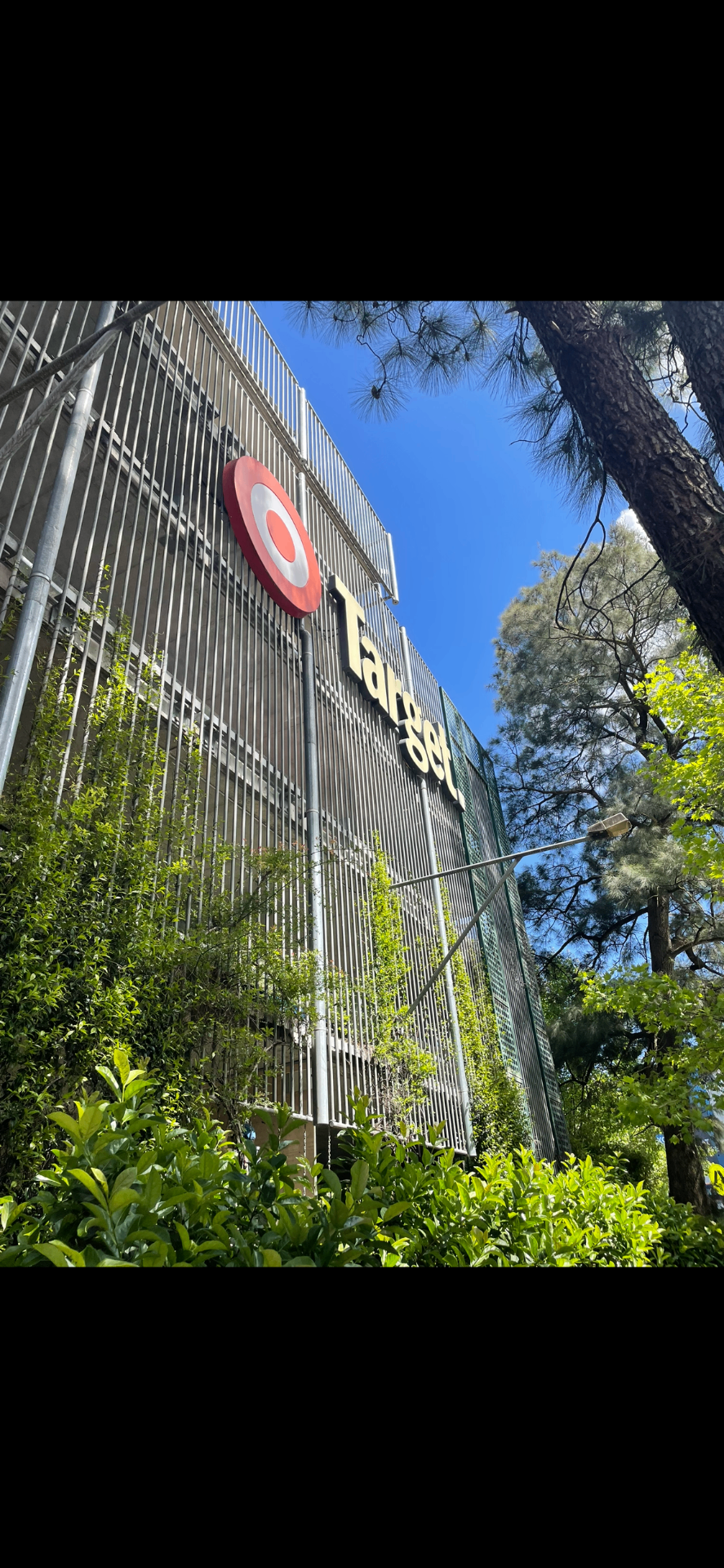 Illuminated Target bullseye and lettering in place before removal
